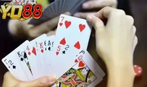 Game bài Tiến Lên Yo88 thú vị, tuyệt hảo khám phá là mê